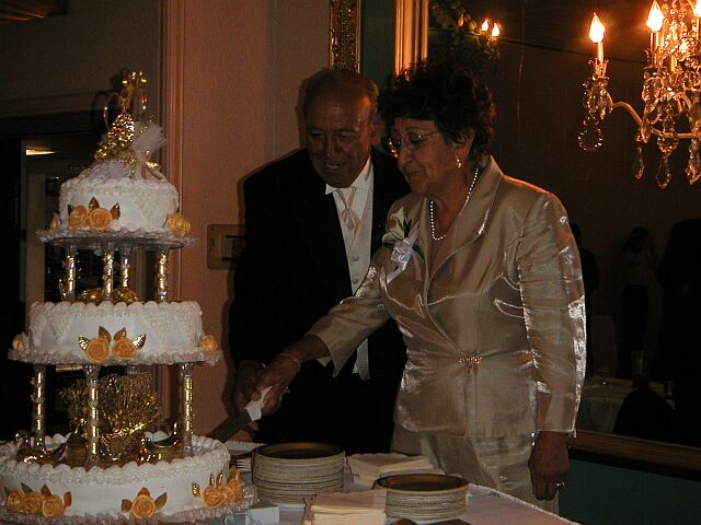 PICT0087s.jpg (67182 bytes)