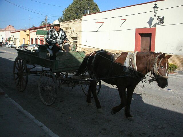 Parras02.jpg (70512 bytes)